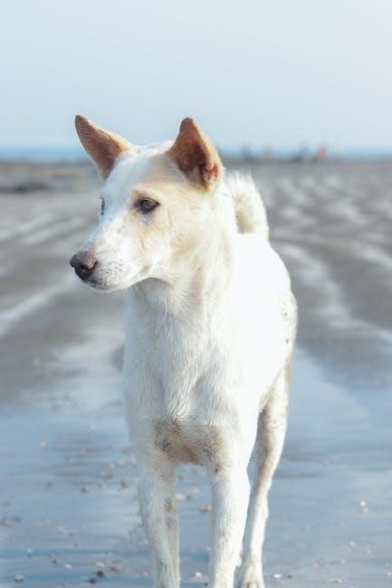 usp purified water specifications pdf