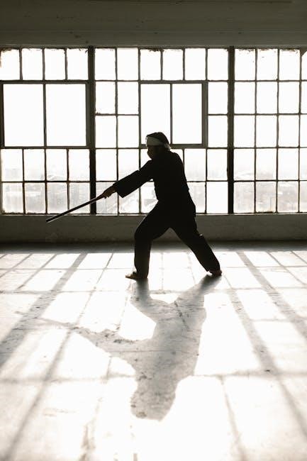 mma workout plan pdf